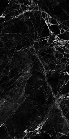 Nero Veined stone reference